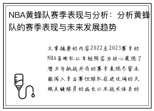 NBA黄蜂队赛季表现与分析：分析黄蜂队的赛季表现与未来发展趋势